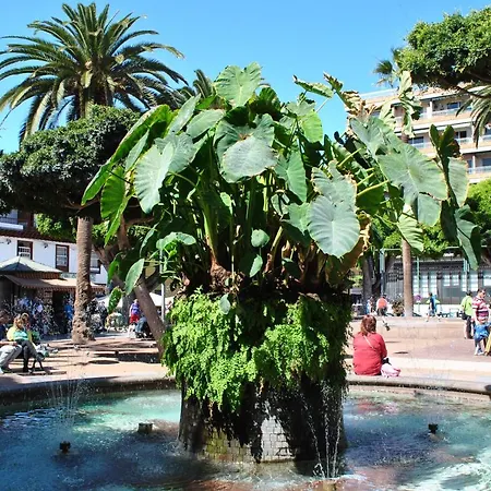 Durazno Tropical Διαμέρισμα