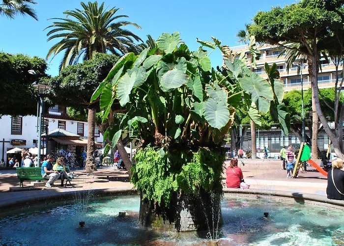 Durazno Tropical Apartament